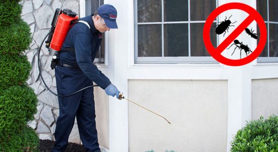 Gölcük Dezenfeksiyon böcek ilaçlama ve haşere kontrolü — ilaclama-tr.com